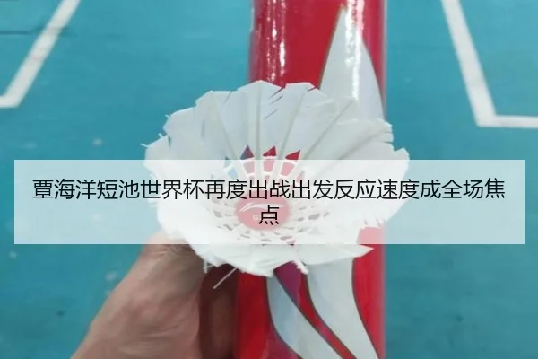 覃海洋短池世界杯再度出战出发反应速度成全场焦点